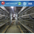 Chicken Bird Trap Cage/Types of Laying Hens/Chicken Cage